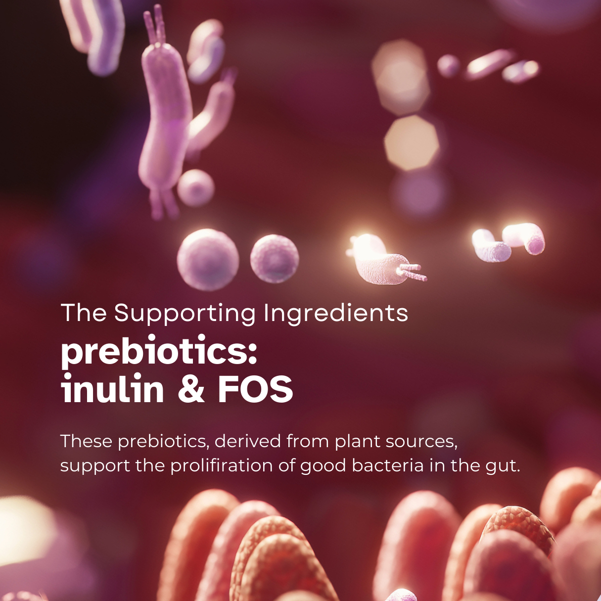 NEW Pure Form Pre + Probiotics for Gut Health | 50 Billion CFU ...