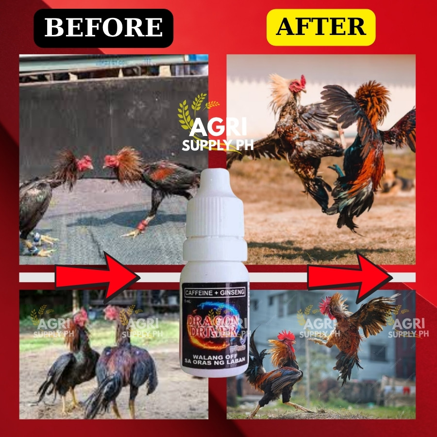 DRAGON DRIVER 10ML – Safe and Effective Energy Solution for All Breeds ...