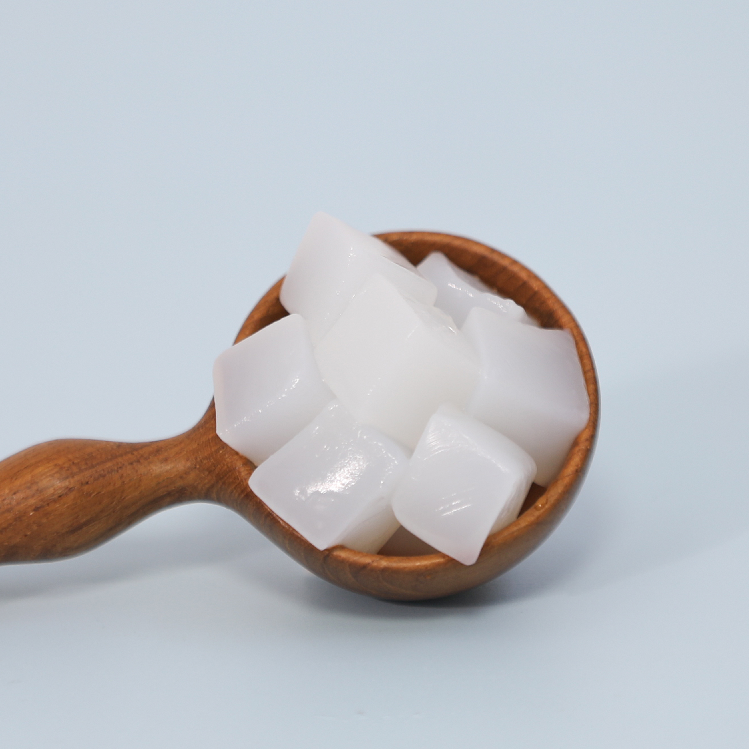 HYX NATA DE COCO LARGE CUBE, good for halo-halo, desserts, drinks ...