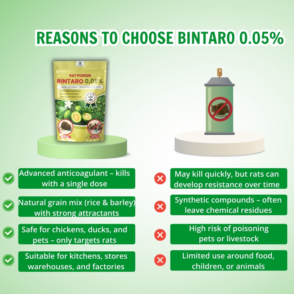 2026 Rat Killer Poison Bintaro Effective Rat Control for Rice Fields ...