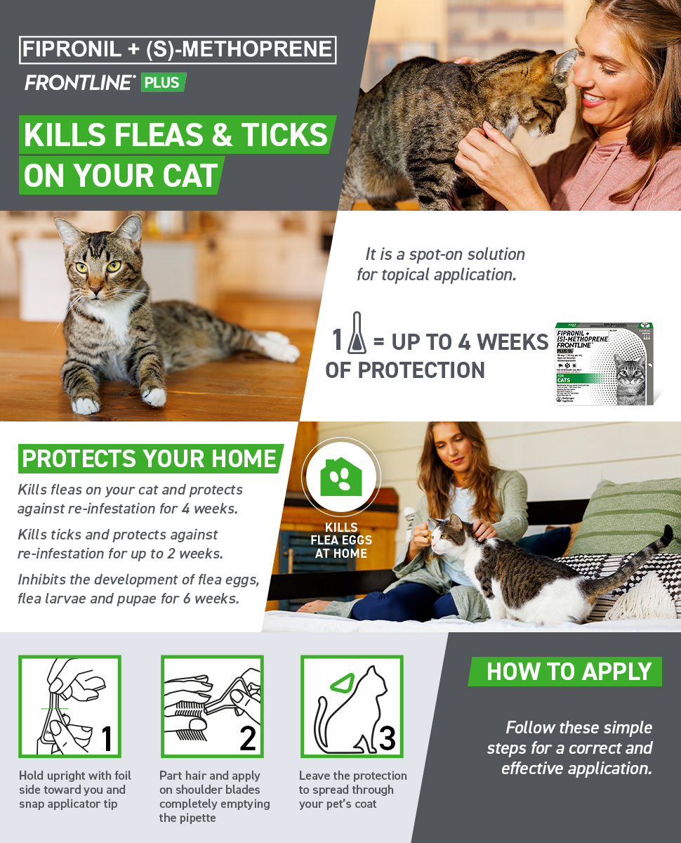 Frontline Plus For Cats Anti Tick And Flea Spot-On Anti Itch Pulgas ...
