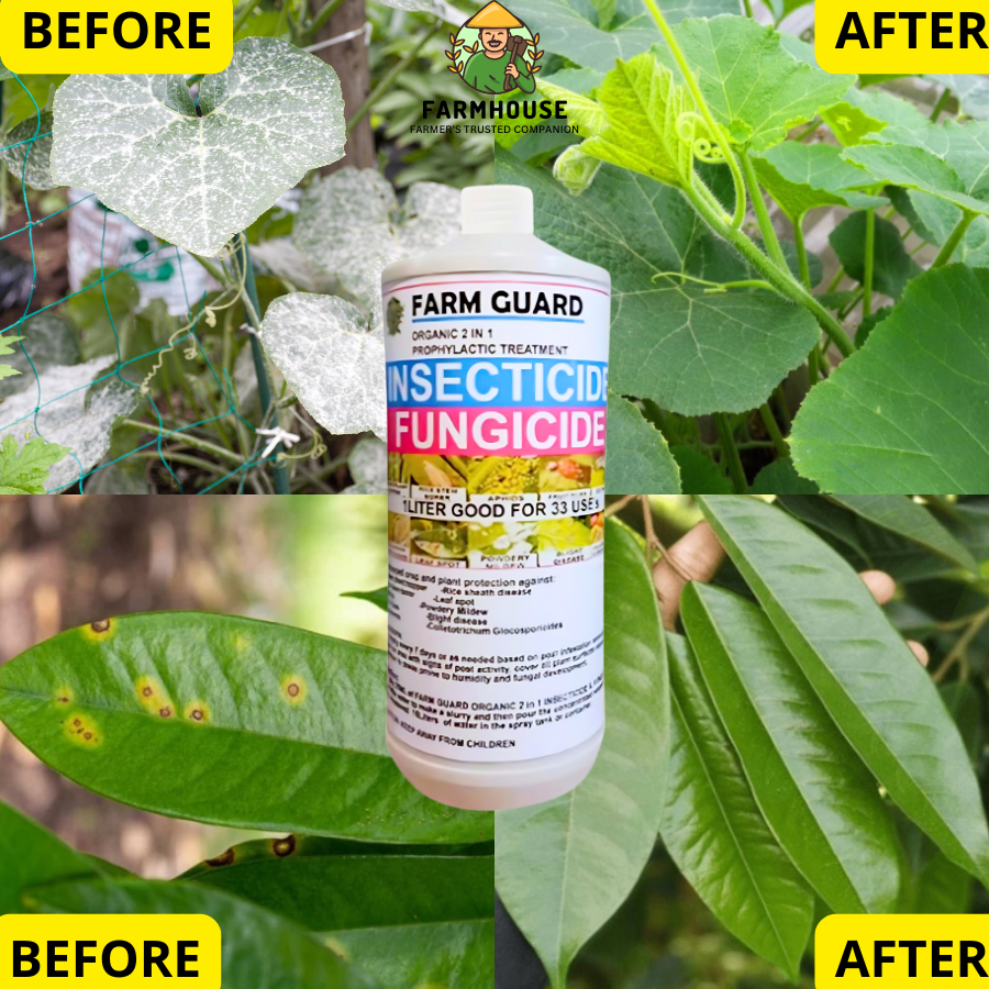 [Best Fungicide] Farm Guard 500ml Organic Insecticide & Fungicide for ...