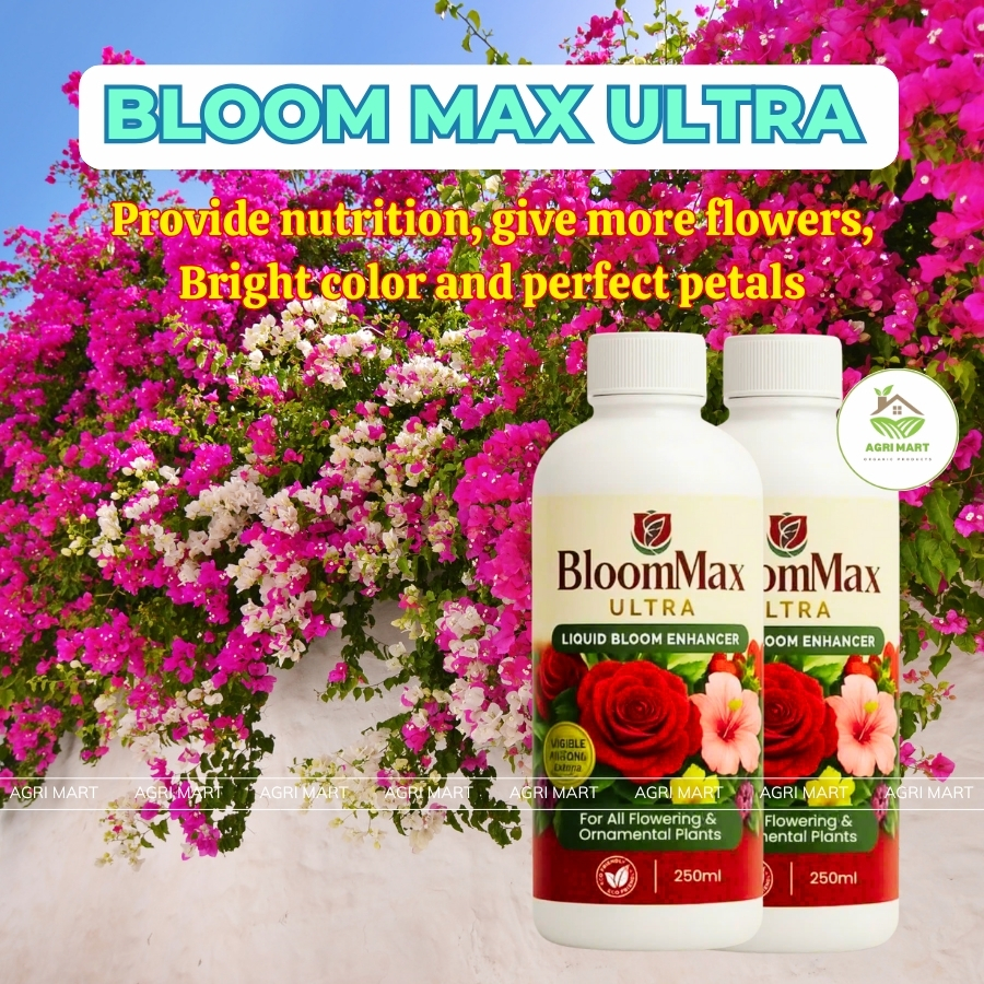 Bloom Max Ultra 250ml – Fast Flowering Solution for Orchids and ...