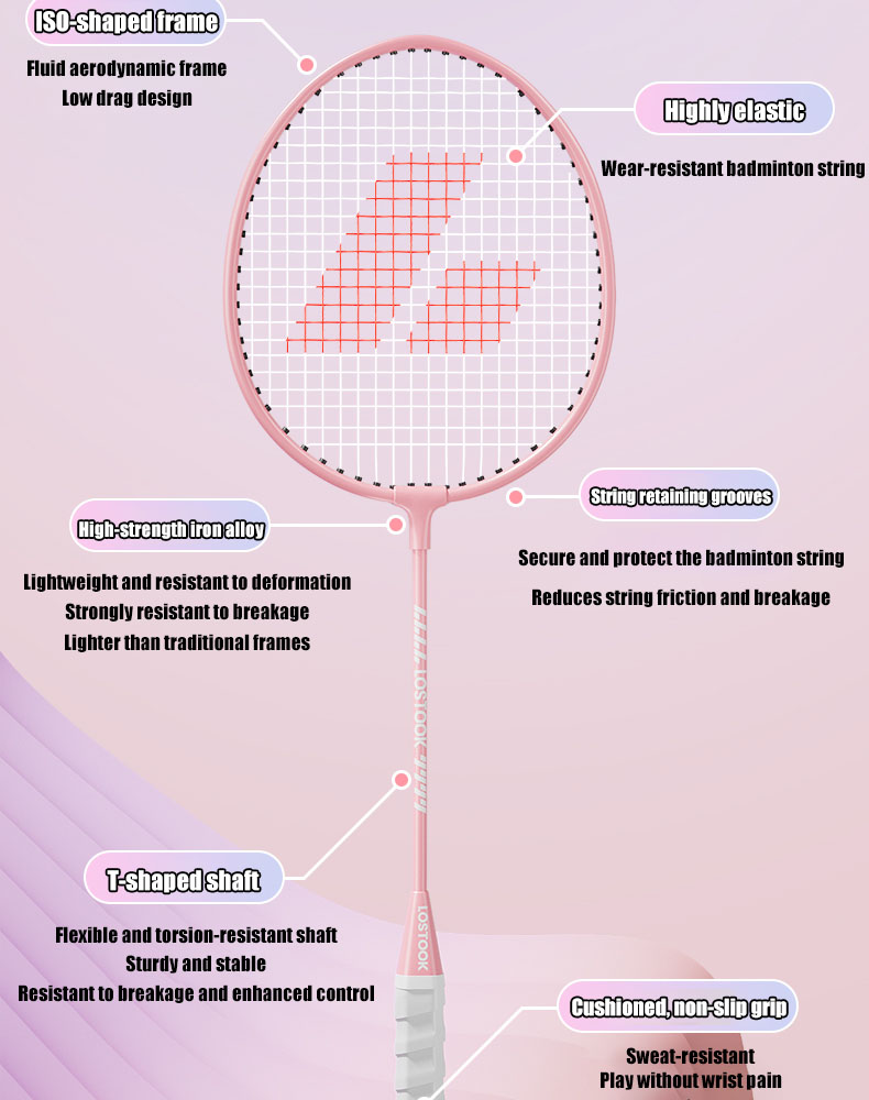 Badminton Racket Set 2PCS Professional Training Durable Leisure Sports ...