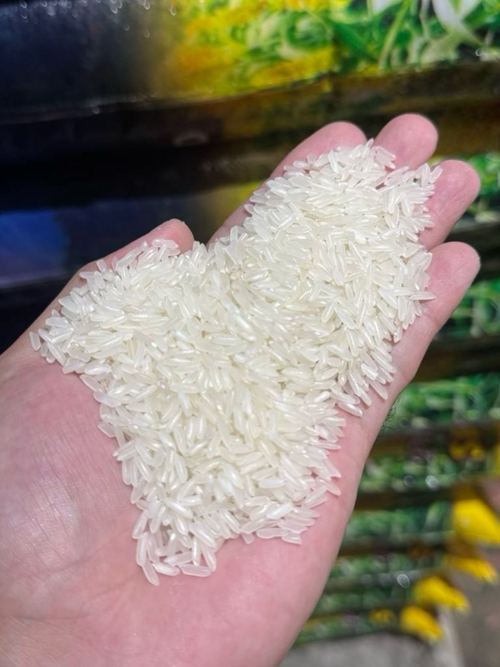 Jasmine Fragrant rice RC 160 10kilo not wholegrain mix buo at durog ...