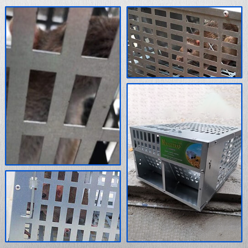 Mouse Rats for Big Rats Double door Live Trap Cage Strong Catch Bait ...