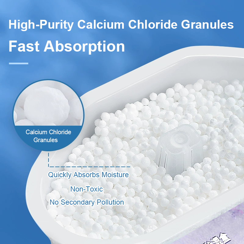 Pro Disposable Dehumidifier Box 10 to12-Pack Fast Absorption Mold-proof ...