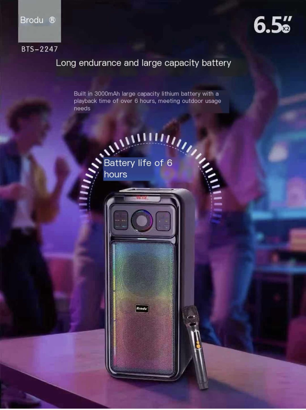 BRODU BTS-2247 110W Portable Bluetooth Karaoke Speaker System with ...