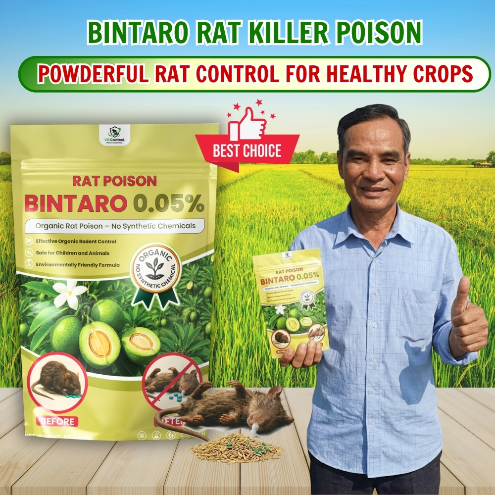 2026 Rat Killer Poison Bintaro Effective Rat Control for Rice Fields ...