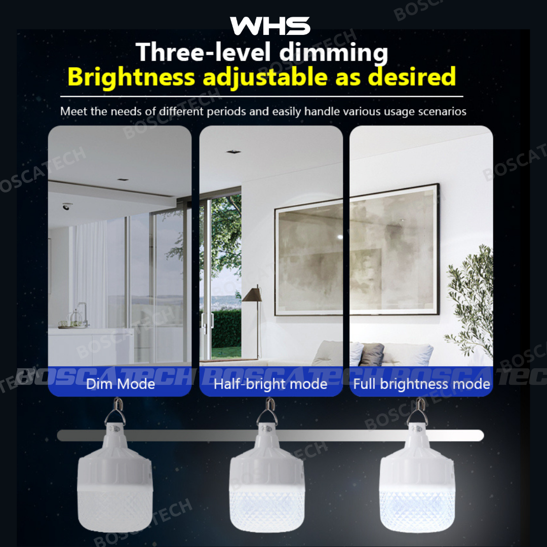 WHS Solar-Powered LED Outdoor Light Bulb with Wireless Remote IP65 ...