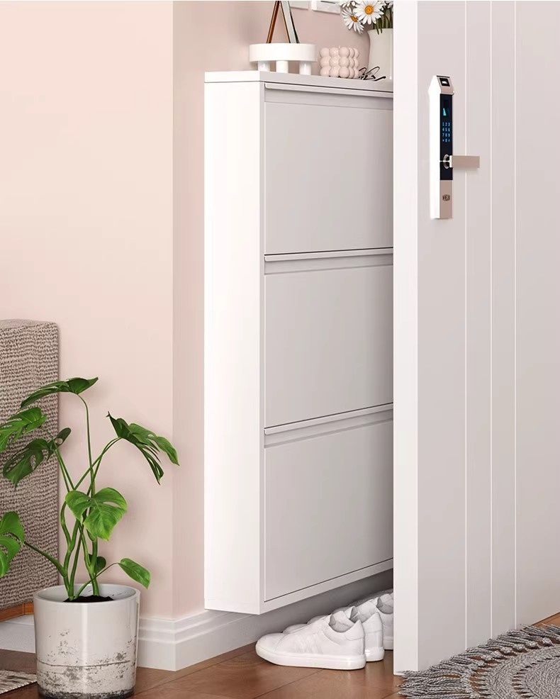 Shoe Cabinet Nordic Steel Shoe Storage Cabinet High-Capacity Organizer ...