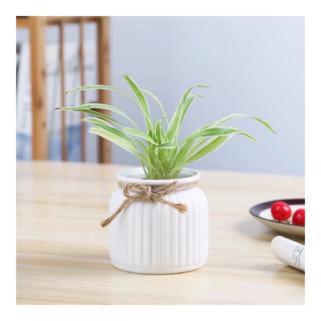 Decorative Vase with Jute Rope Top | Ceramic Flower Pot for Centre ...