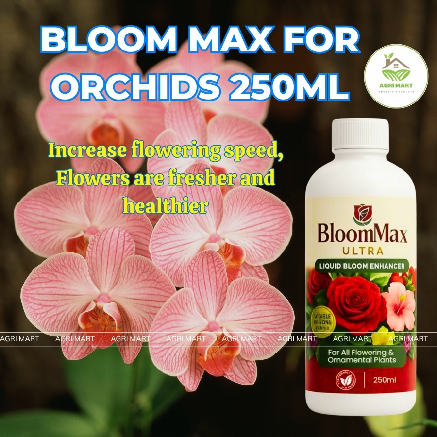 Bloom Max Ultra 250ml – Fast Flowering Solution for Orchids and ...