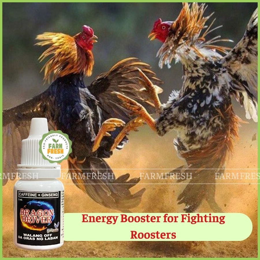 [ SALE 60% ] Dragon Driver 10ml | Gamefowl Energy & Stamina Booster ...