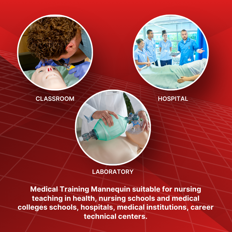 SURRMED Basic Nursing Mannequin | Full-Body Medical Training Model for ...