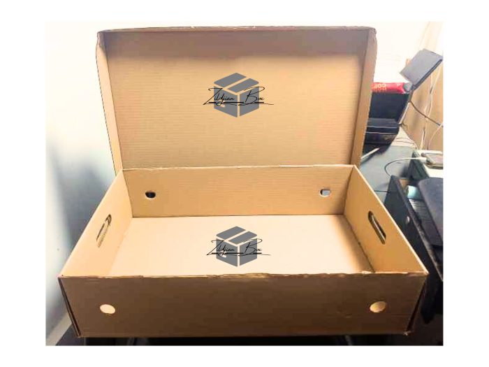 (CB3)Cochinillo box 30x16x6 (shoe box style) - 10 pcs | Shopee Philippines