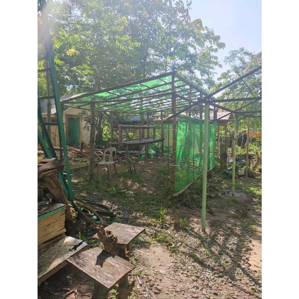 8 feet LAPAD (10 meter sa HABA) Net •Garden Net •Construction Net •Farm ...