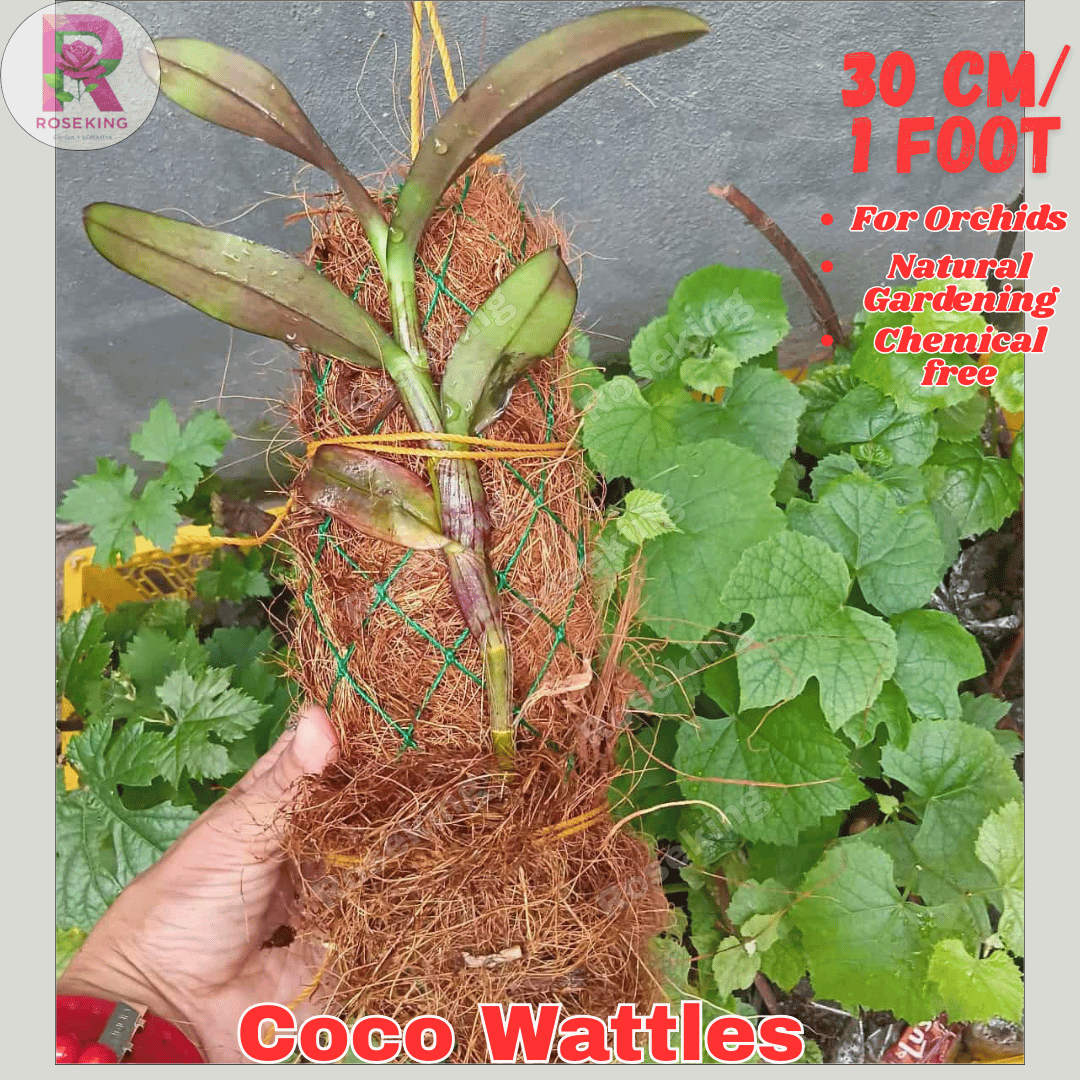 Coco Wattles 30 cm for Hanging Plants Coco Logs with Coco Coir and for ...