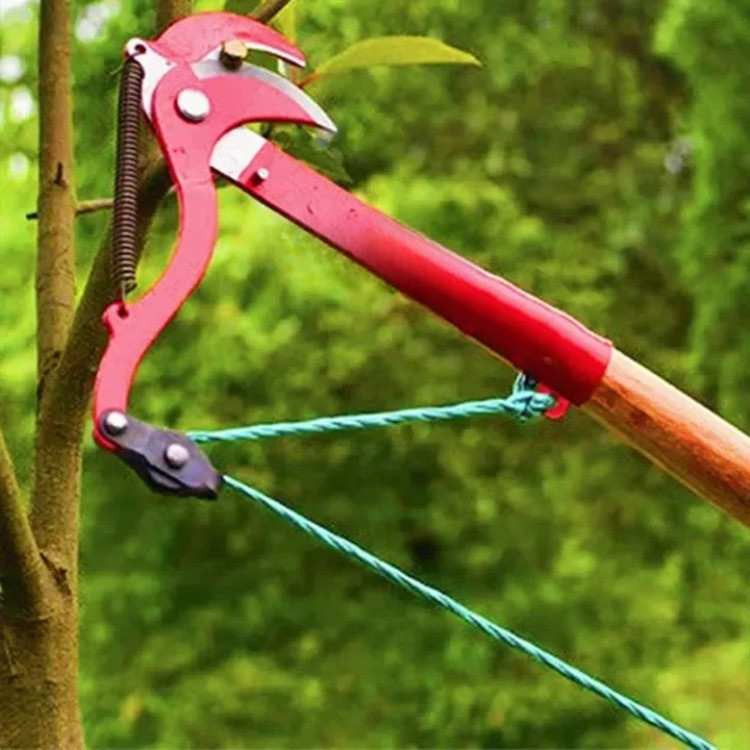 High-Altitude Tree Pruning Shears – Long Reach Branch Cutter & Fruit ...