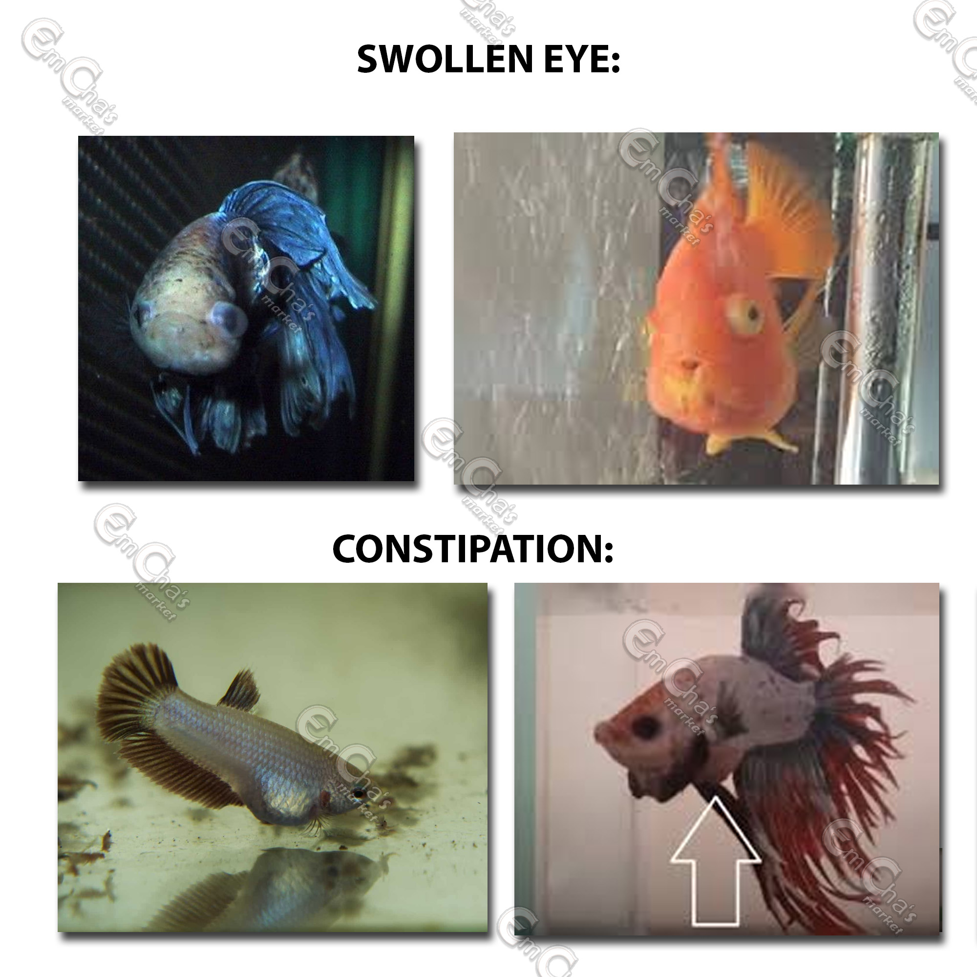 Aquarium Needs: FISH CARE PURE EPSOM SALT 100g (RED TETRAPACK)(fmed ...