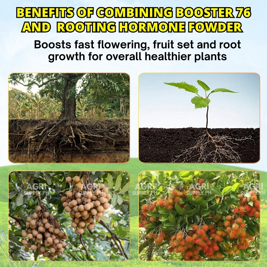[HOT COMBO] Booster 76 Liquid + Rooting Hormone Powder |Strong Roots ...