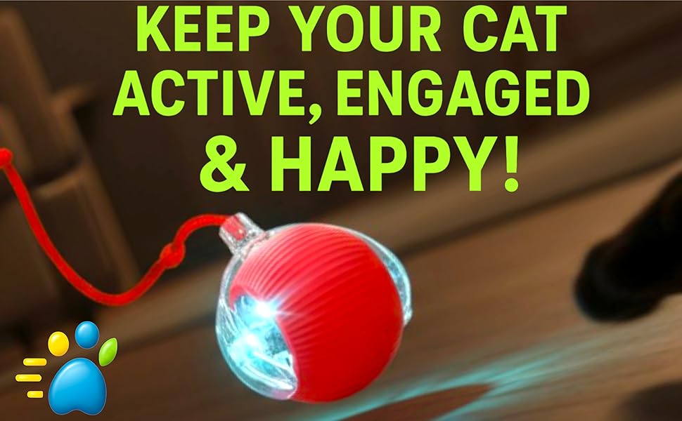 Interactive Automatic Rolling Cat Toy Dog toy with Self-Moving Ball and ...