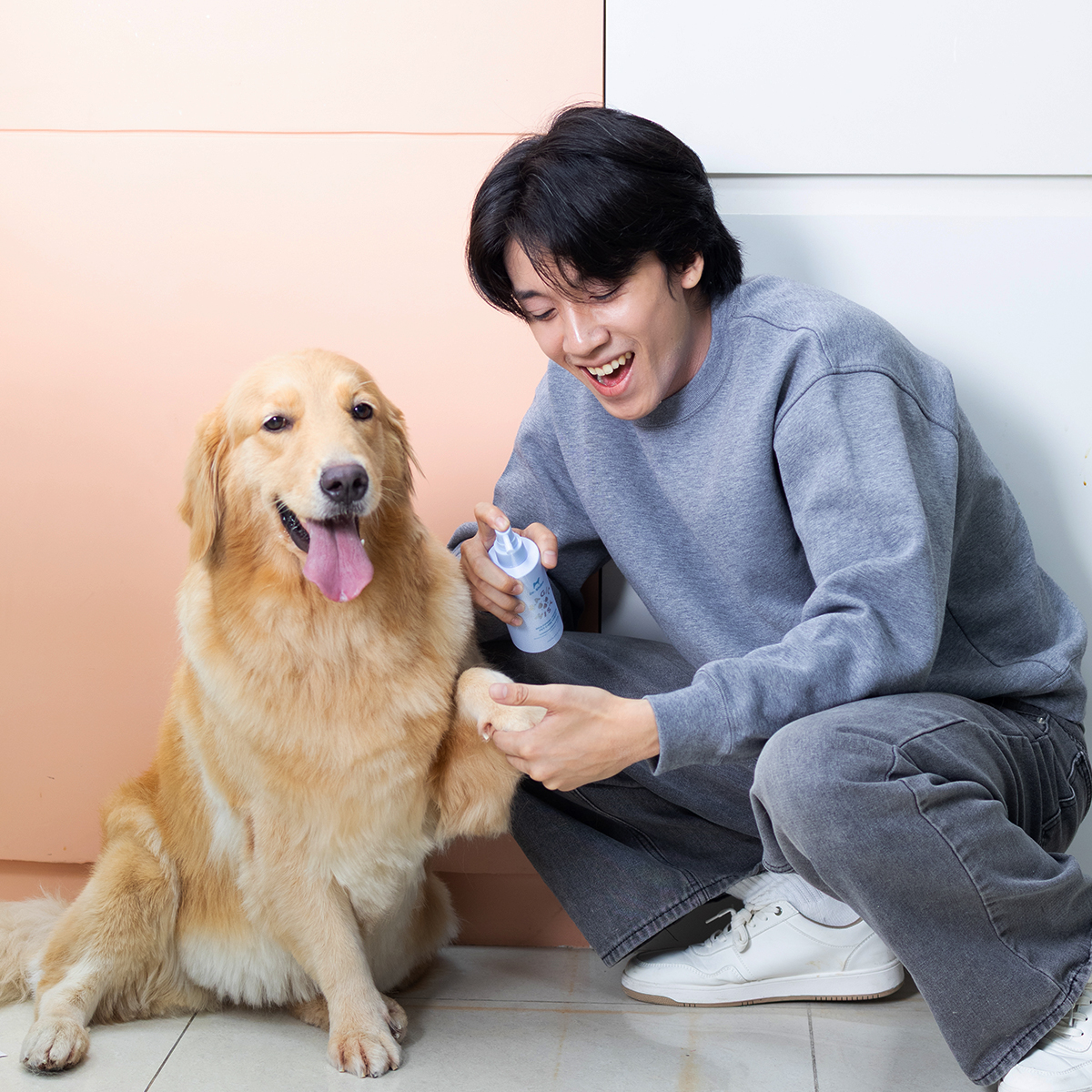 Dr. Shiba Magic Mist for Dogs & Cats - Hypochlorus Acid ...