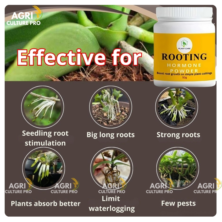 Super strong Rooting Hormone for cuttings 50G | Stimulates fast rooting ...
