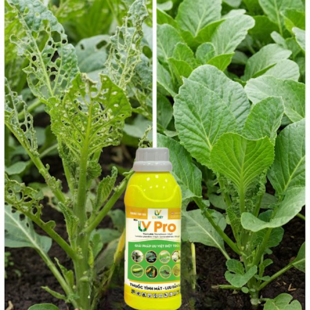 UV PRO Organic pesticide for plants and vegetables, Advanced Plant ...