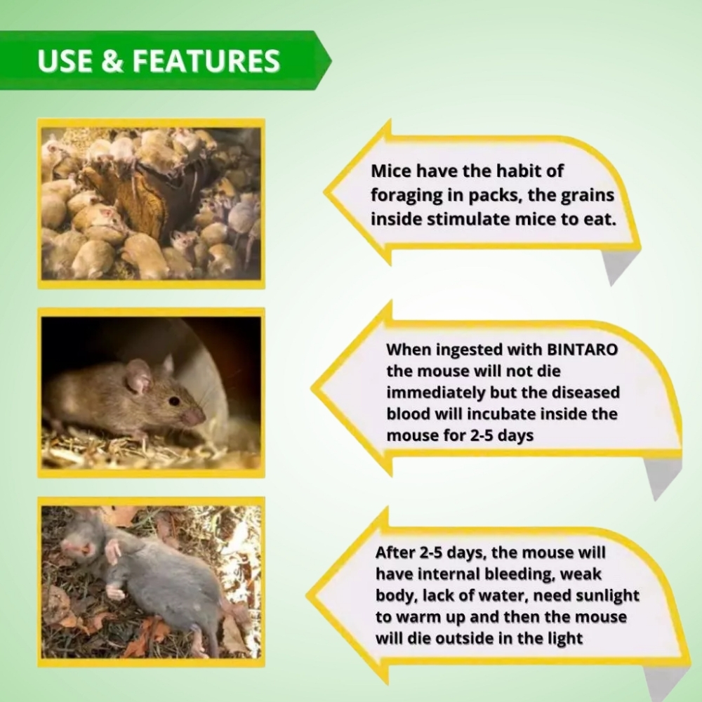 2026 Rat Killer Poison Bintaro Effective Rat Control for Rice Fields ...