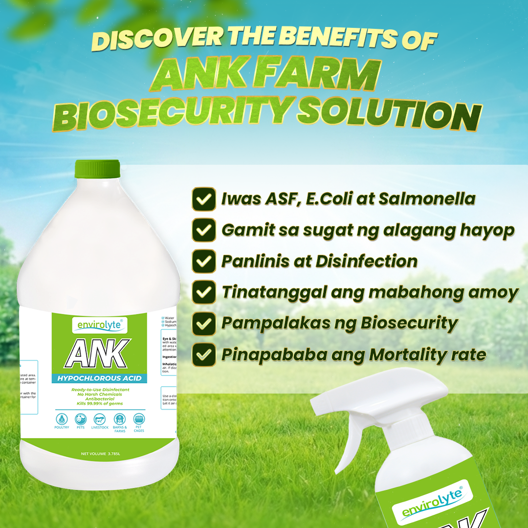 Effective Solution for Biosecurity, Odor Eliminator and Piggery ...