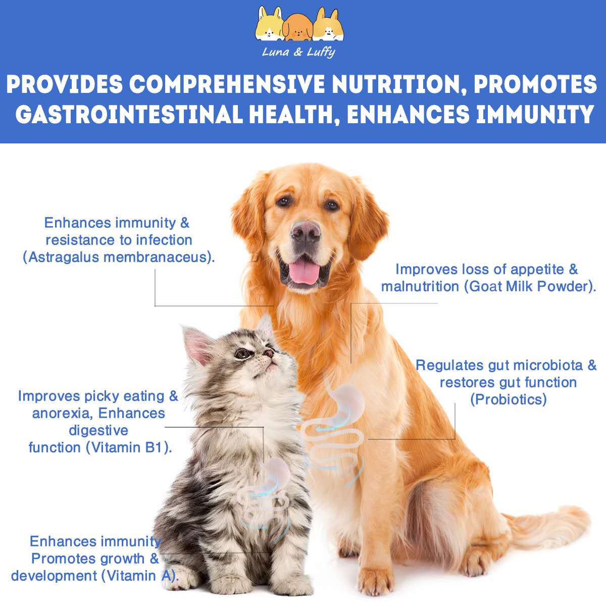 Pet Multivitamin Liquid Boosts Immunity Dogs & Cats Preventing Viral ...