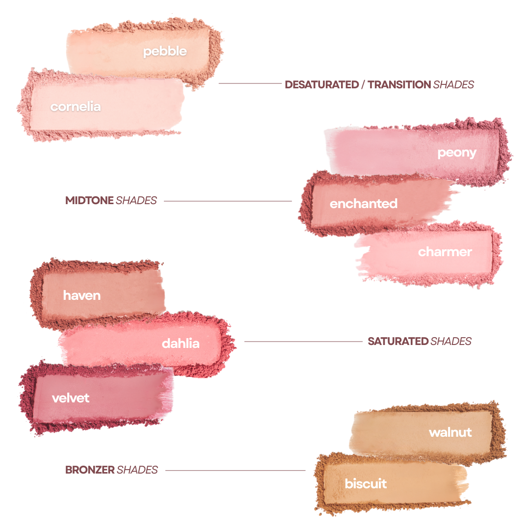 Absidy Soft Cheeks Blurring Powder Blush | Shopee Philippines