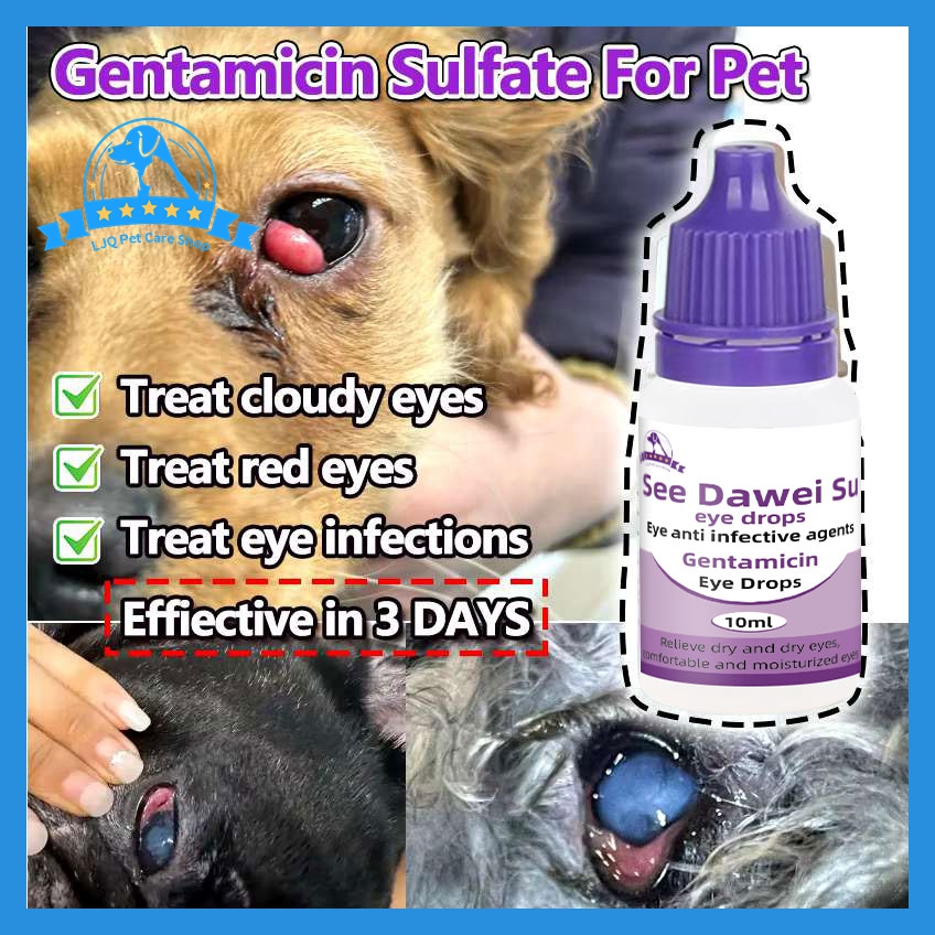 10ML pet eye drops for cats and dogs with cloudy eyes, sneezing and ...
