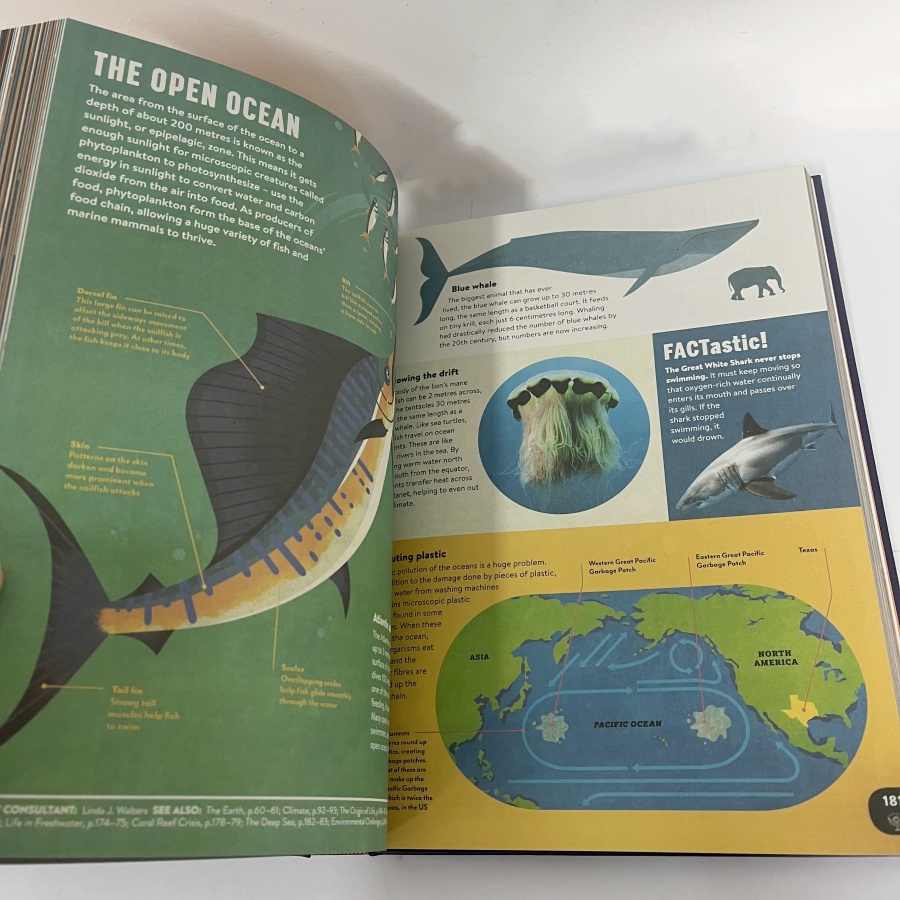 Encyclopedia Britannica New Children's Encyclopedia English Edition ...