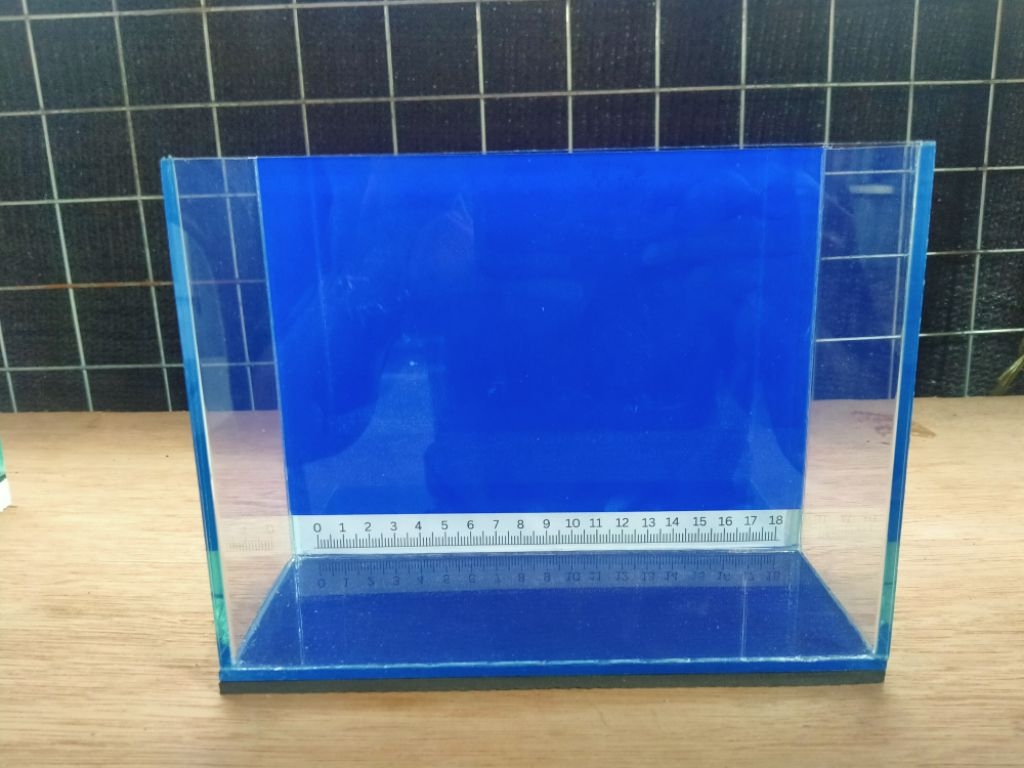 Show Tank (20x8x16cm/8x3x6inches) Blue Background w/ ruler | Shopee ...