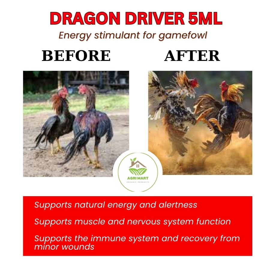 DRAGON DRIVER 10ML – Energy and Focus Formula for Strong Performance ...