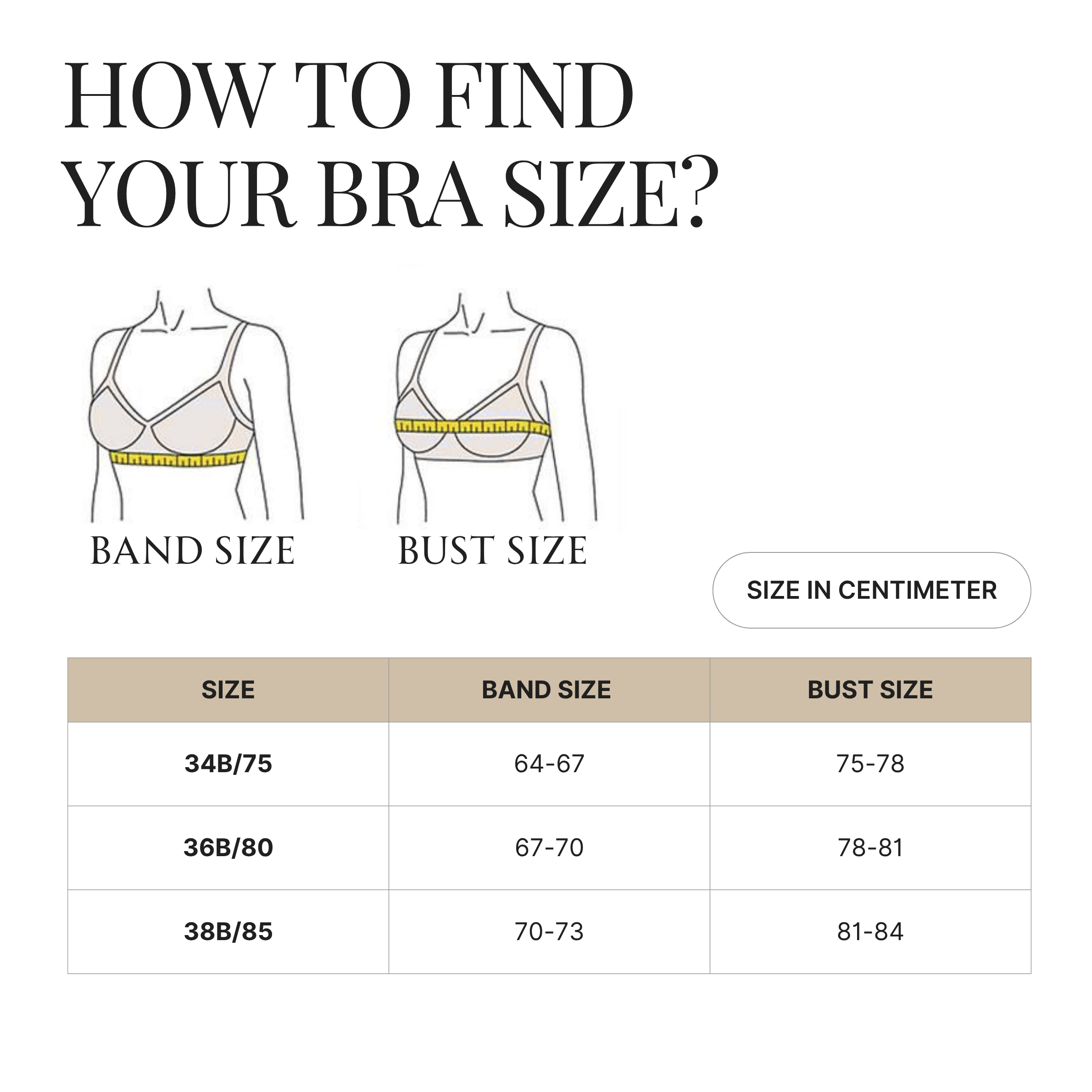 Avira Seamless Bra High Quality Under-Wired with Double Padded Push Up ...