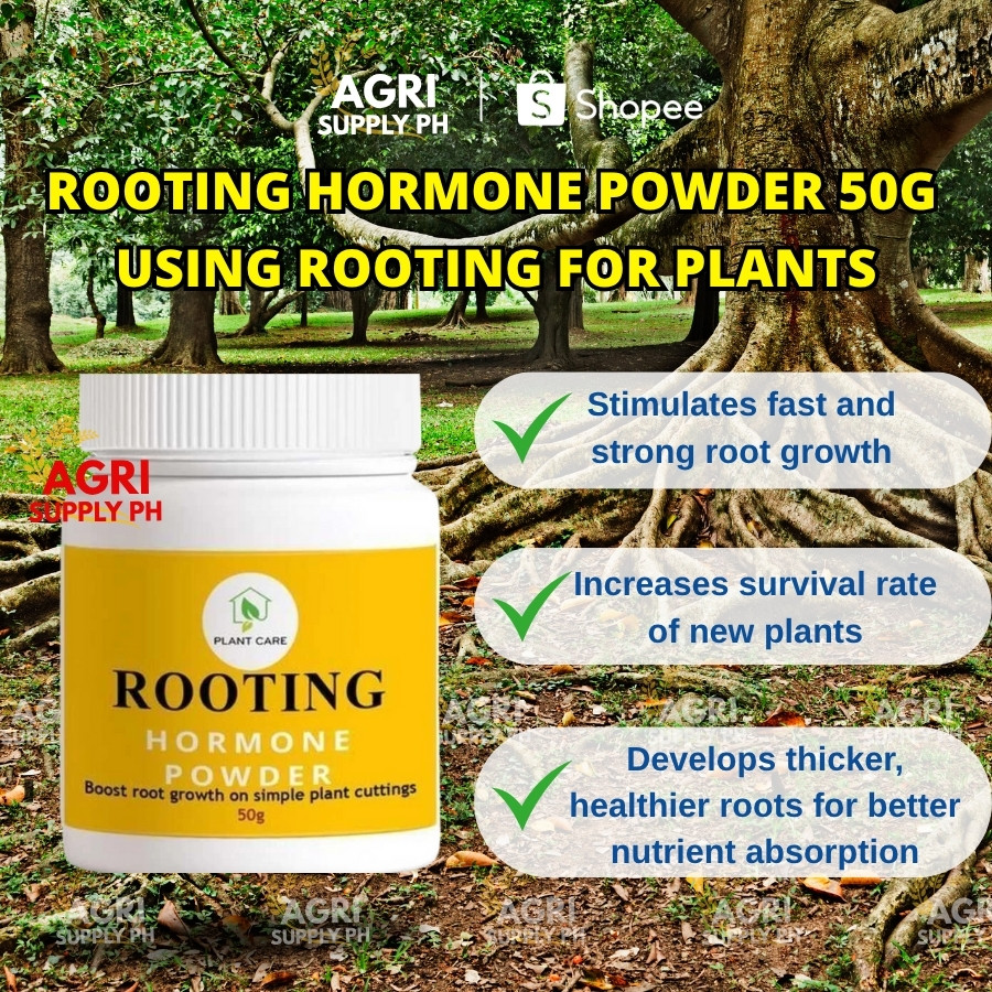 [HOT COMBO] Booster 76 Liquid + Rooting Hormone Powder |Strong Roots ...