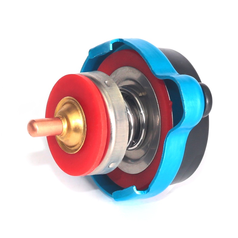 Universal Car Radiator Cap Car Thermostatic Gauge Radiator Cap Tank ...