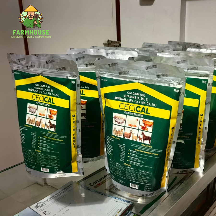 Cecical Powder 1kg (Calcium) Feed Additive (Vitamin & Minerals) for ...