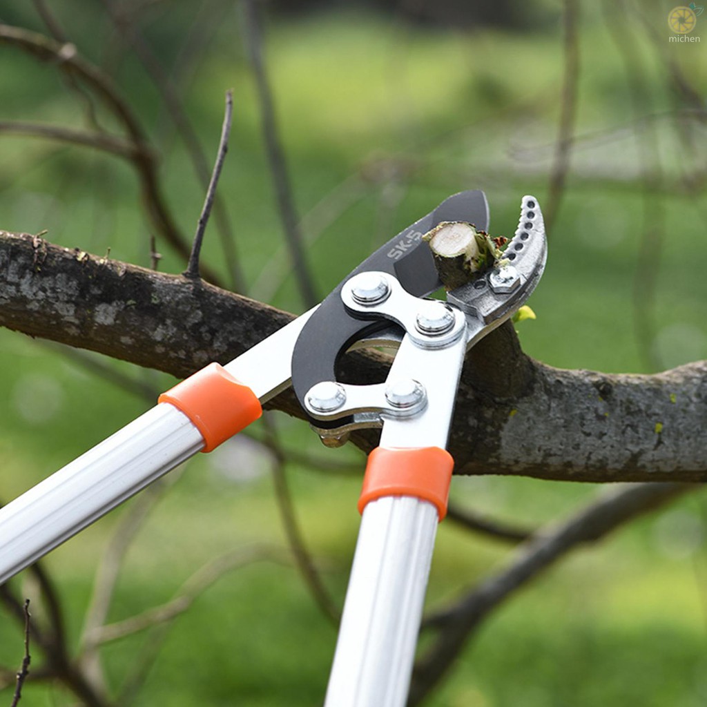 Extendable Garden Pruning Shears | Telescopic Tree Branch Cutter | Long ...