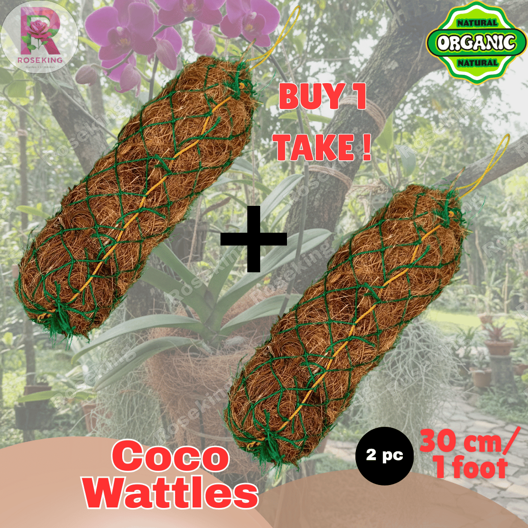 Coco Wattles Coco Media 30 cm high quality coco fiber | Shopee Philippines