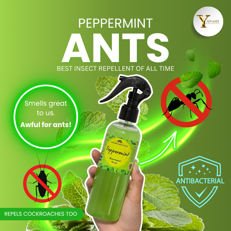 Peppermint Air Freshener Spray – Natural Odor Eliminator | Shopee ...