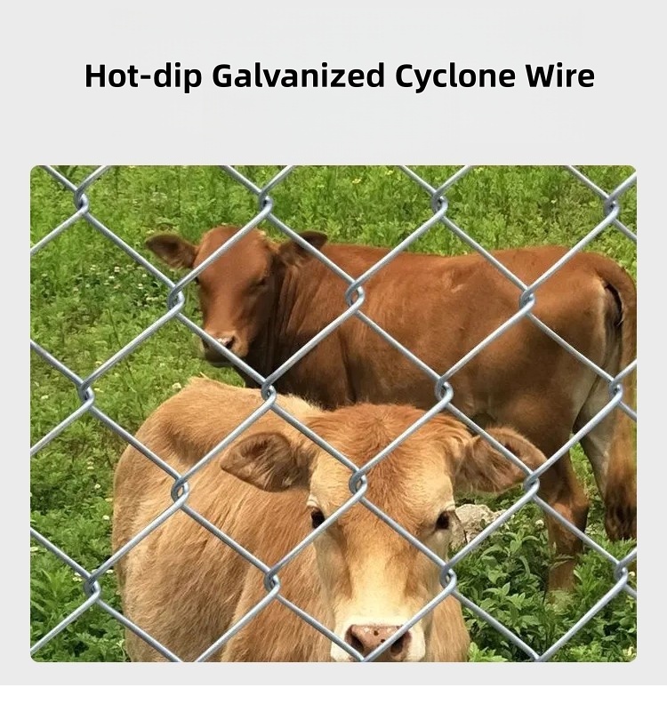 2.5mm 20m Length Galvanized Cyclone Wire 5cm/10cm Hole 4ft/5ft/6ft Farm ...