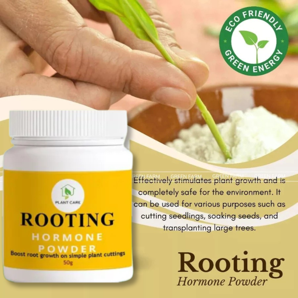 GrowFast Rooting Hormone Powder 50g – Organic Root Booster for Cuttings ...