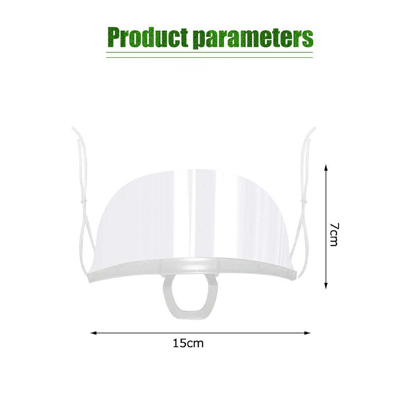 HOME 10Pcs Transparent Sanitary Mask Spit Guard Sanitary Kitchen Mask ...