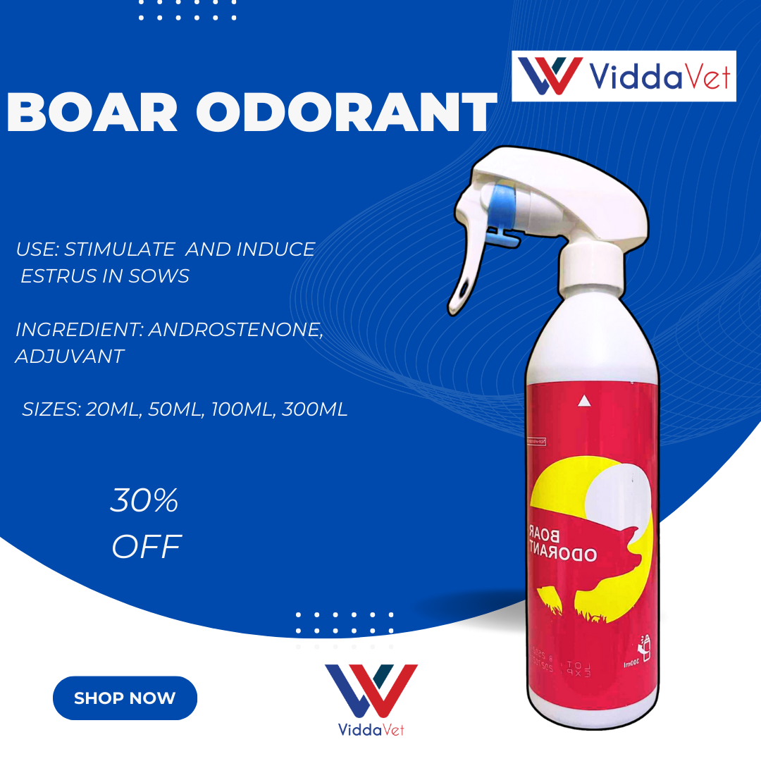 Viddavet Boar Odor Spray for Effective Estrus Induction boar odorant ...