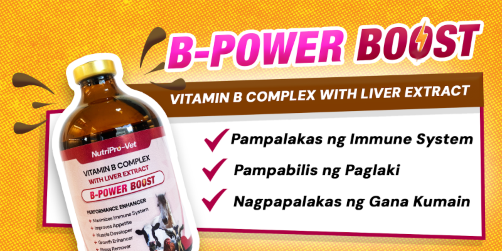 BPOWERBOOST - PAMPAGANA NUTRIPOVET | Shopee Philippines
