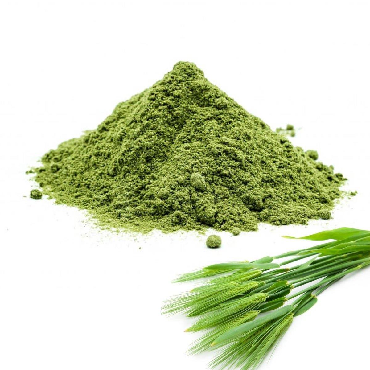 Barley Powder (Organic, Pure, Unsweetened, High Fiber Superfood ...